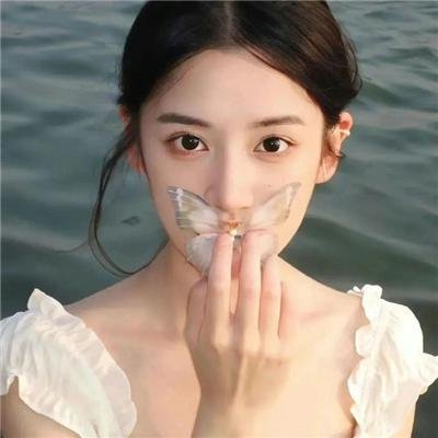 白粉飞 第三季